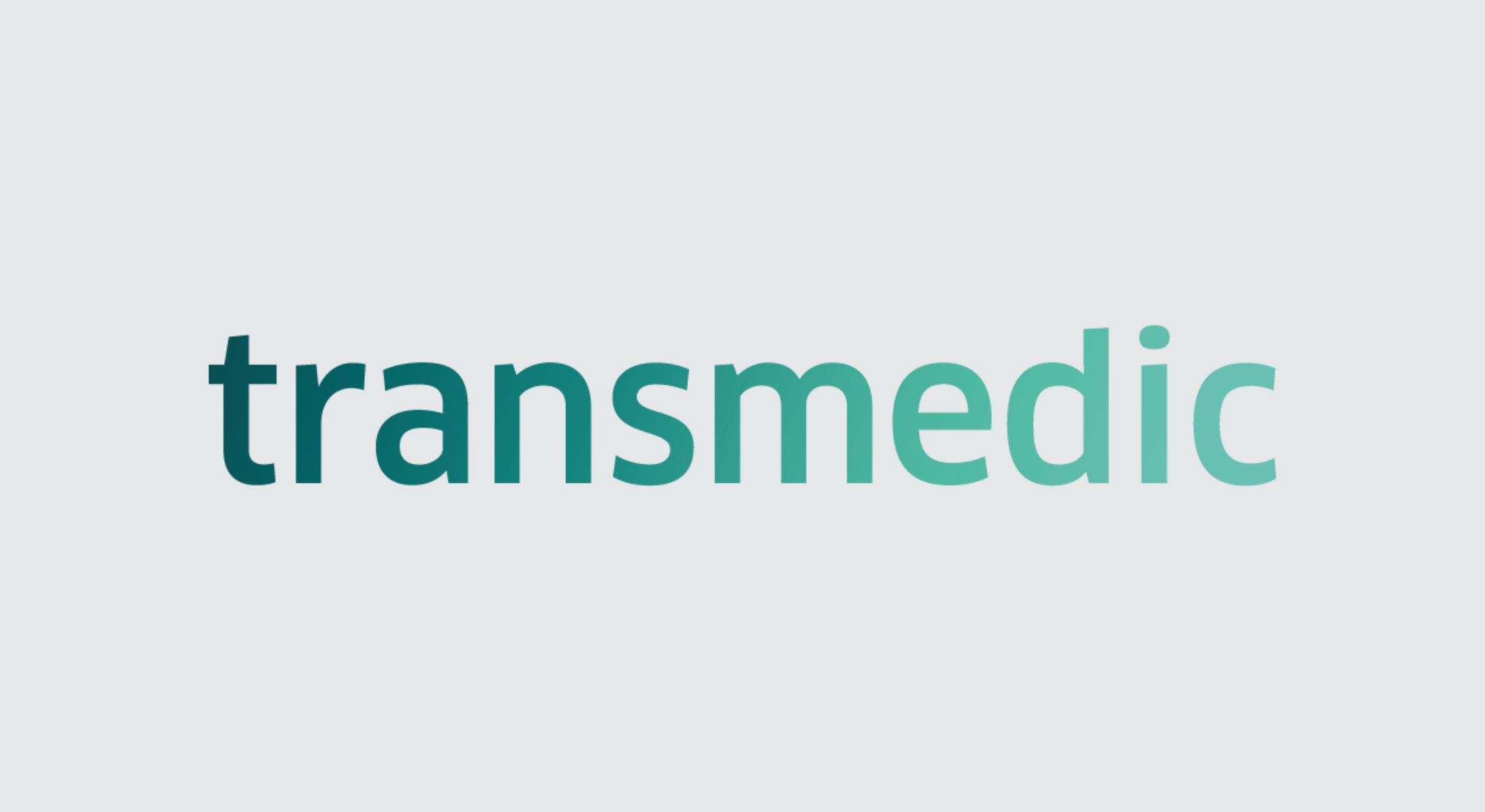 Transmedit website format